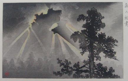 山本昇雲 森の稲妻